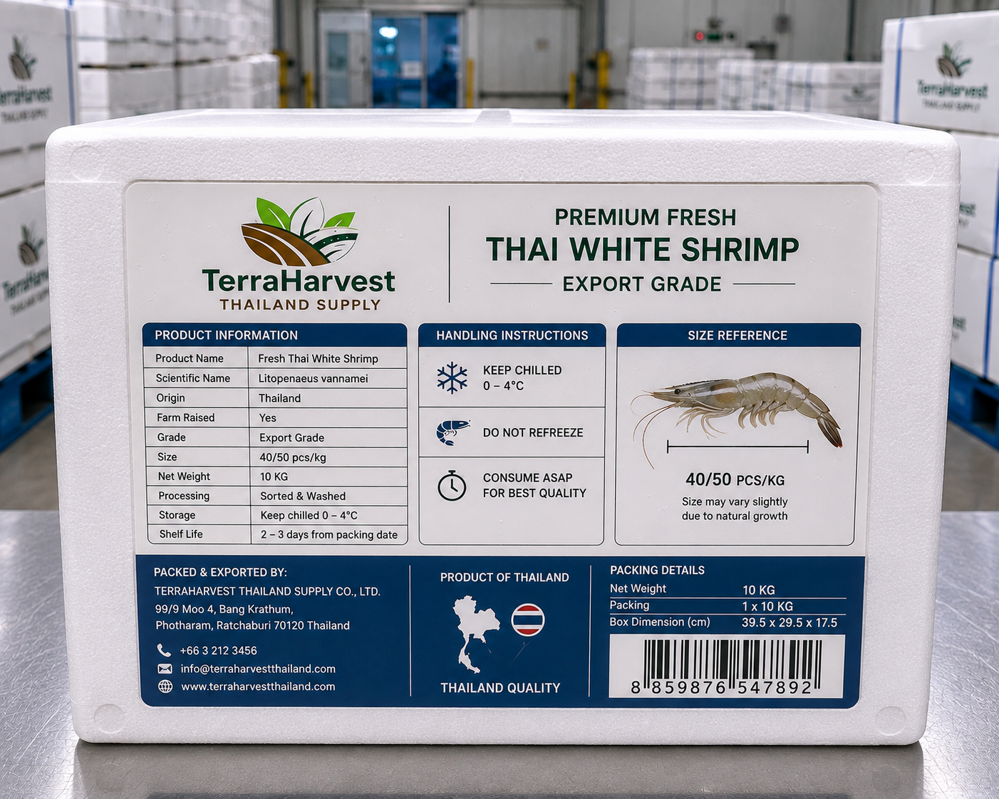 Premium Fresh Thai White Shrimp – Export Grade